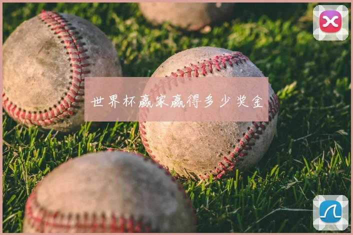 世界杯赢家赢得多少奖金